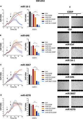 MiR-4270 acts as a tumor suppressor by directly targeting Bcl-xL in human osteosarcoma cells